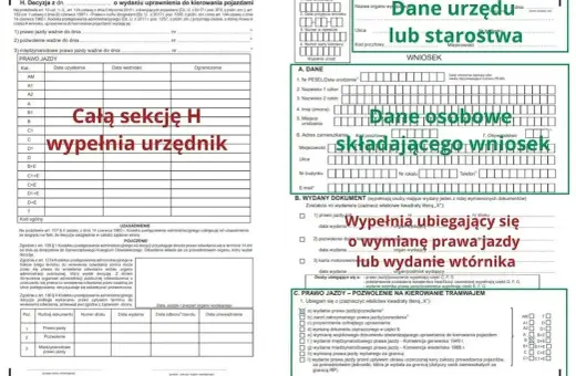Formularz wniosku o wydanie prawa jazdy lub pozwolenia, gdzie dane urzędu i dane osobowe składającego wniosek są kluczowe. Sekcja H wypełniana przez urzędnika dotyczy daty wydania uprawnienia.
